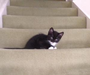 10376099_10152410872566007_6502401990979029636_n