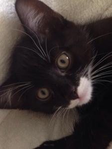 10338347_10152435121186007_1381277351118270401_n