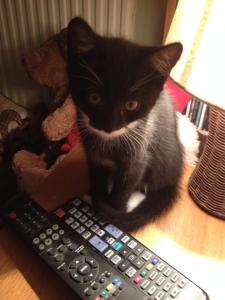 10365909_10152435120961007_5542740071138581546_n