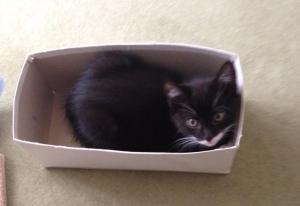 10446494_10152435120871007_3210016103948048603_n