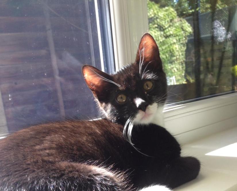 10406471_10152511163176007_6946029601556350426_n