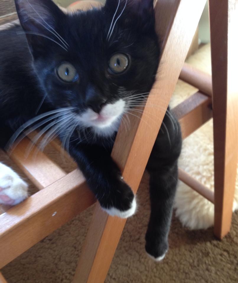 10489859_10152472665126007_7258104838981764135_n