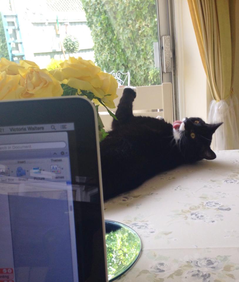 11695786_10153379422136007_5516971722435369796_n